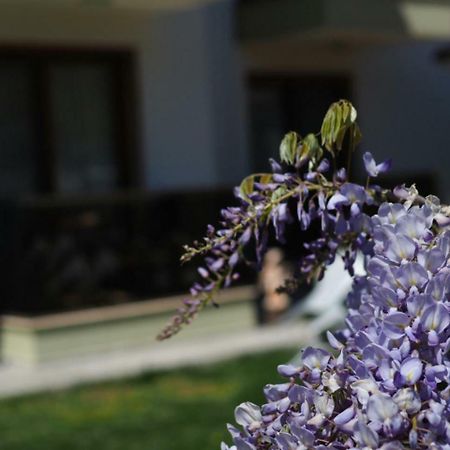 Derin Butik Otel Siğacık Esterno foto