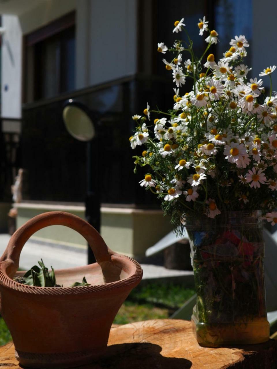 Derin Butik Otel Siğacık Esterno foto